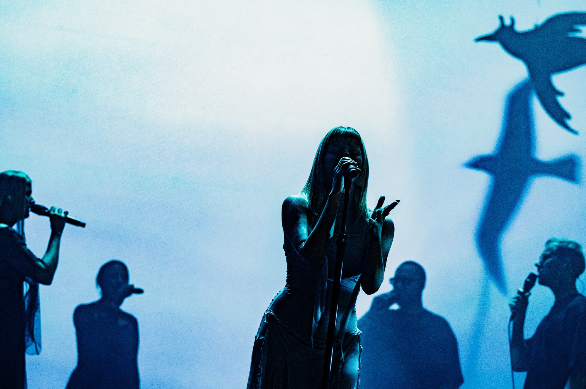 Aurora Summer Shows 2025