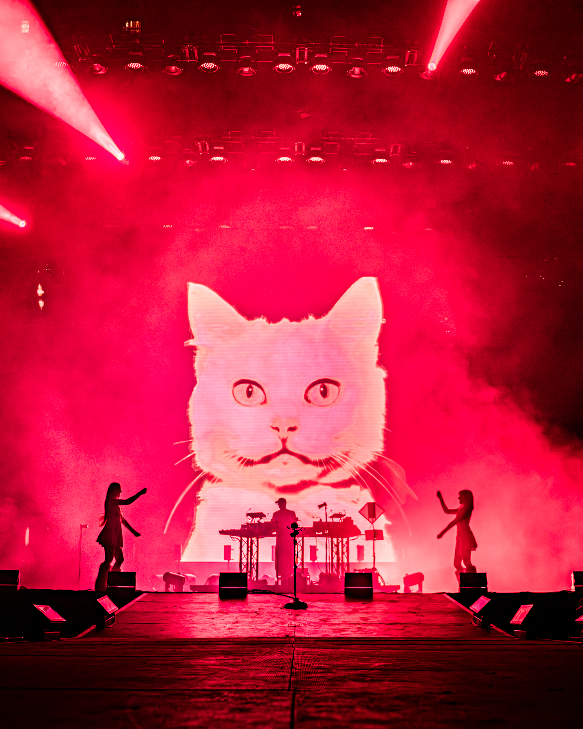 Tomora at Festivals 2026