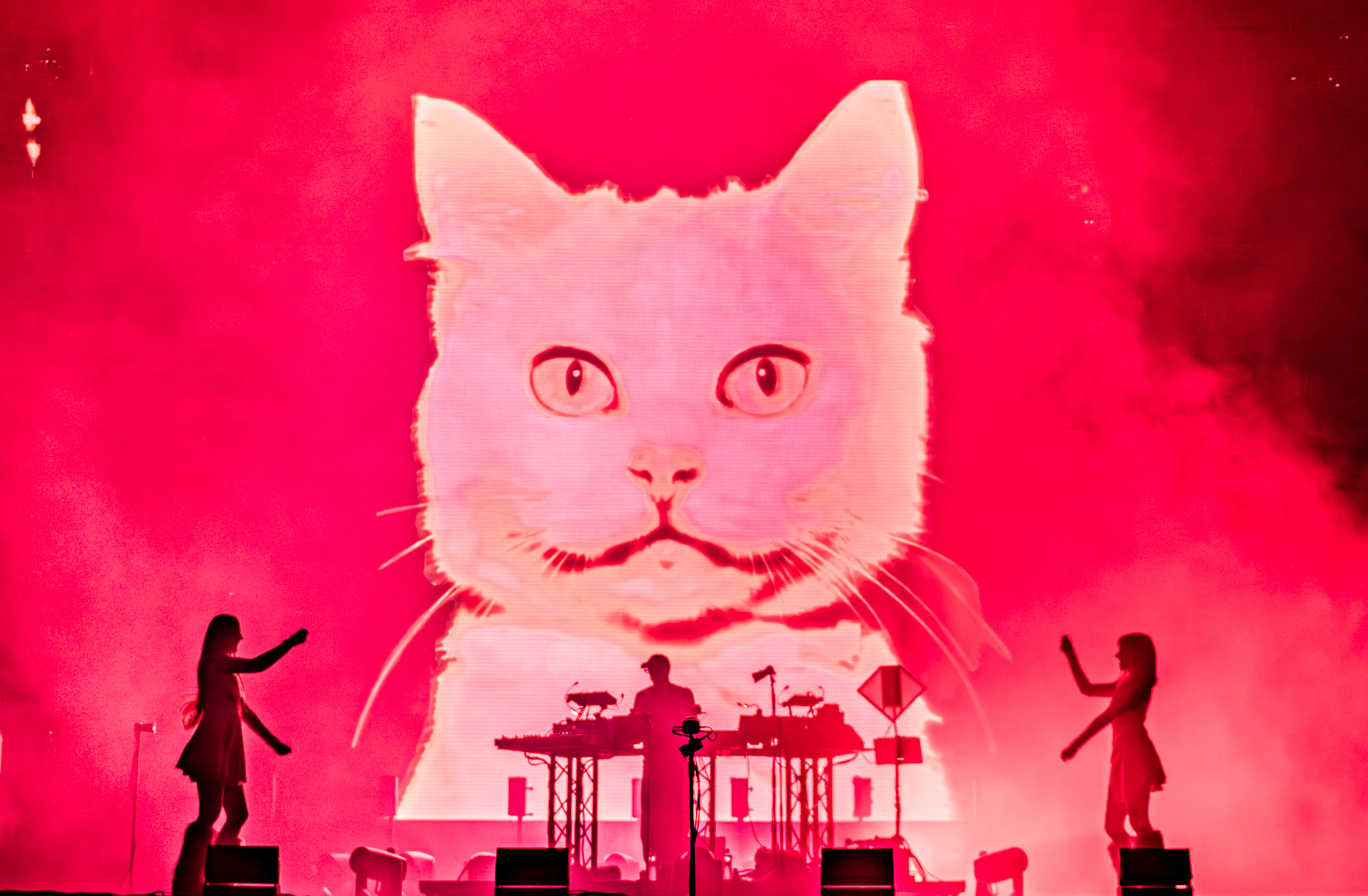 Tomora at Festivals 2026